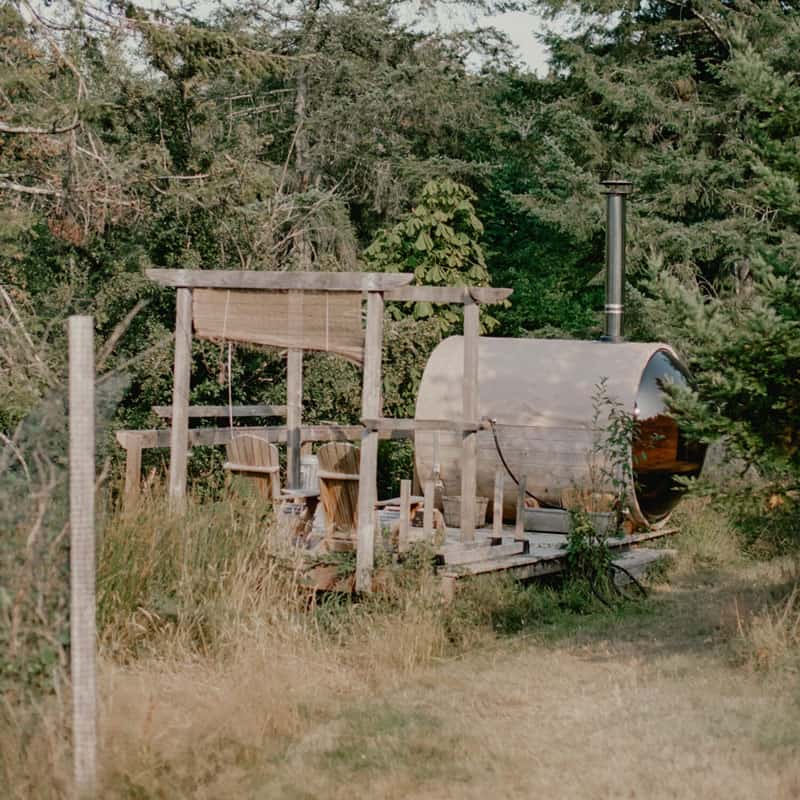 saltypear sauna