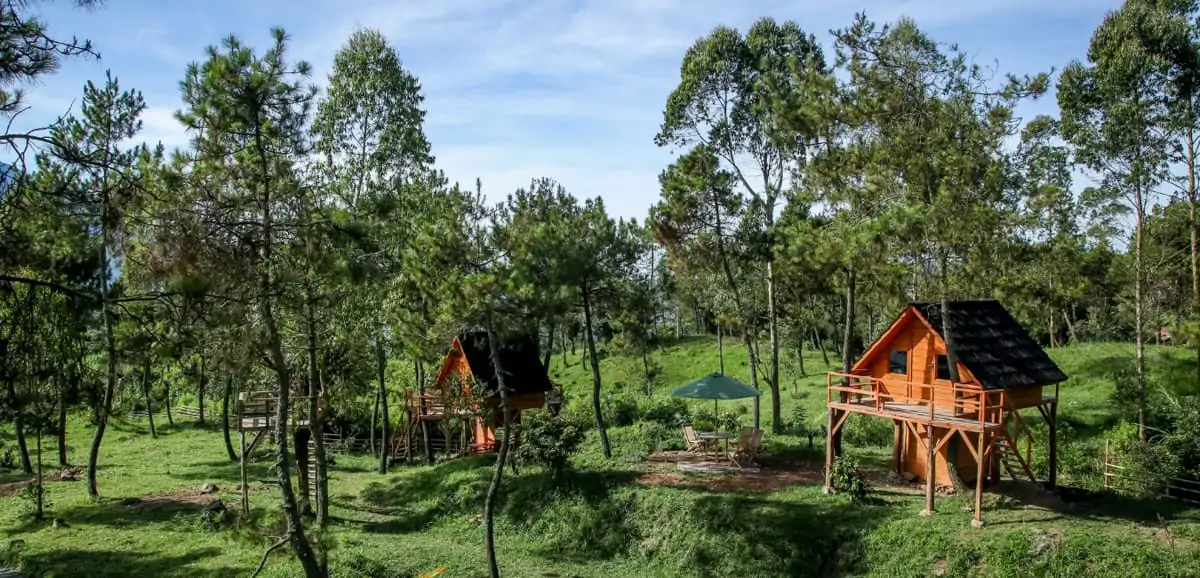 Glamping Treehouse in woods from above