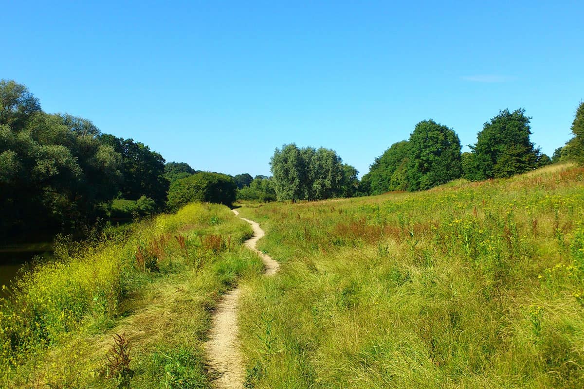 Glamping in Kent: Camping in Luxury