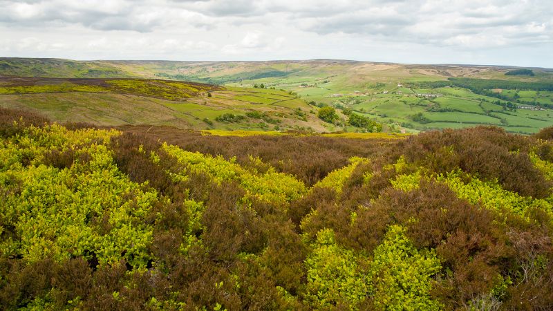 15 Brilliant Glamping in Yorkshire: Pods, Huts and More! 2 North York Moors National Park