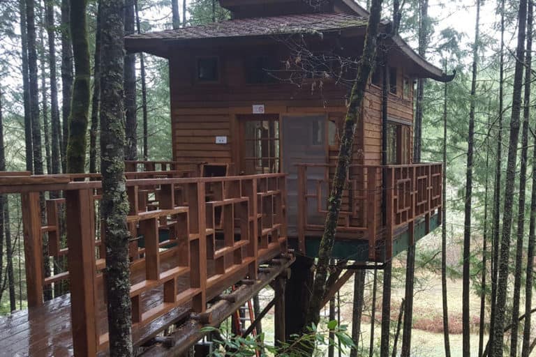 9 Cool Treehouse Rentals in Oregon You Must See to Believe