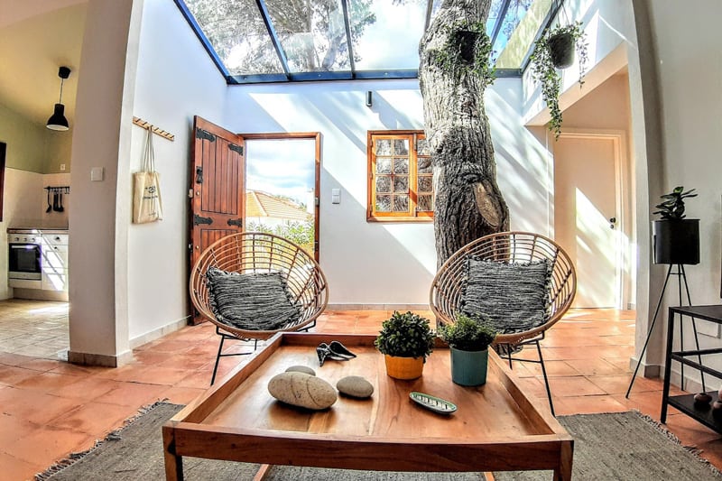 Beach Tree House at Paradise Island of Porto Santo