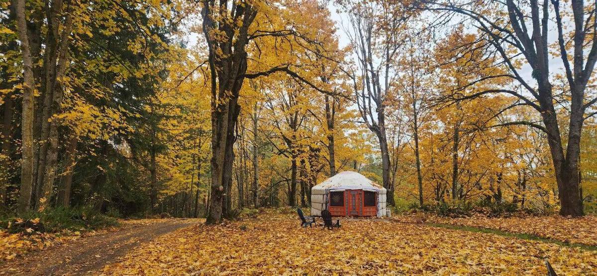10 Epic Mt. Rainier Cabins, Yurts, Treehouses and More